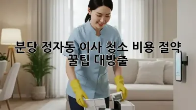 분당 정자동 이사 청소🧹 비용 절약 꿀팁 대방출! ✨