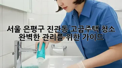 서울 은평구 진관동 고급주택 청소: 완벽한 관리를 위한 가이드
